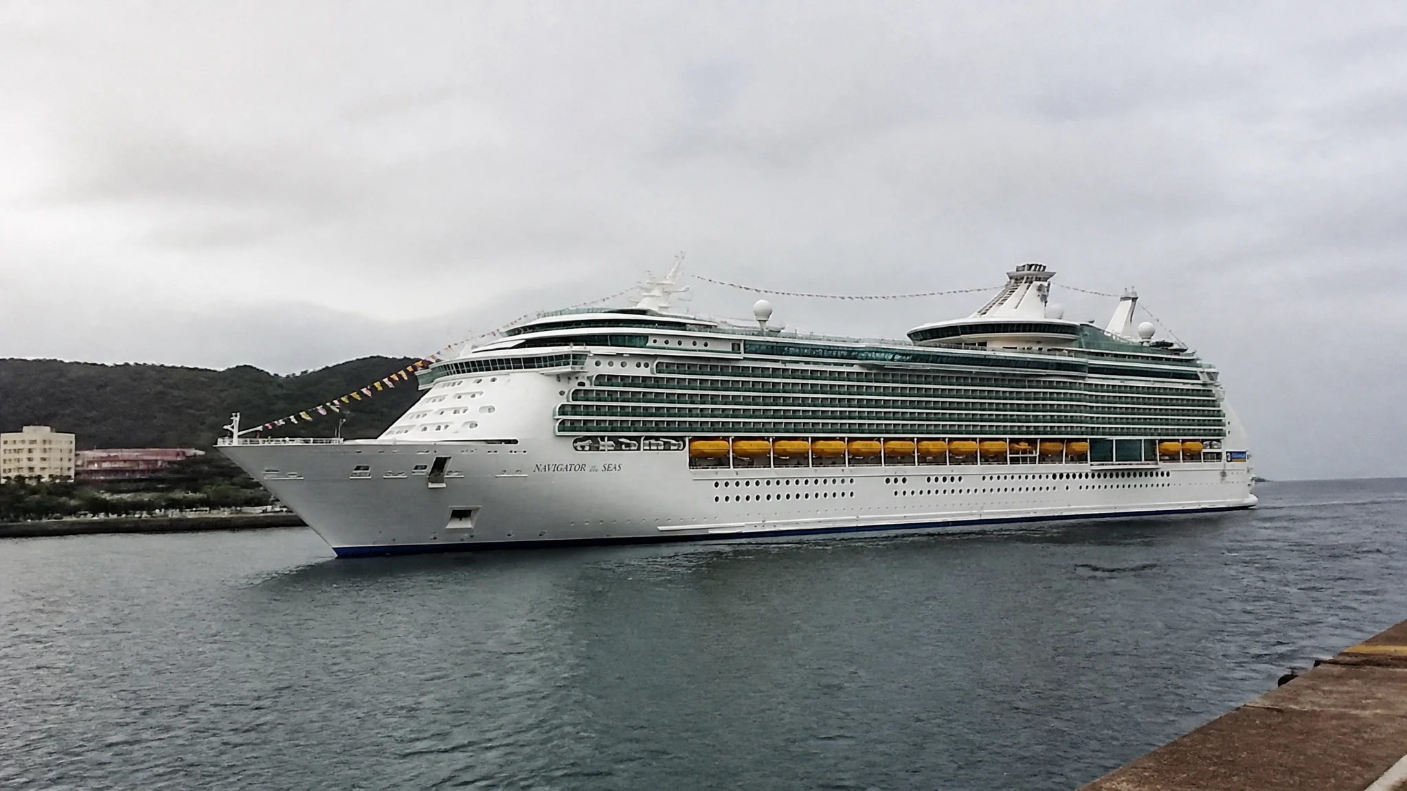 Royal Caribbean Negligence Lawsuit: Michael Virgil Wrongful Death Settlement Explained
