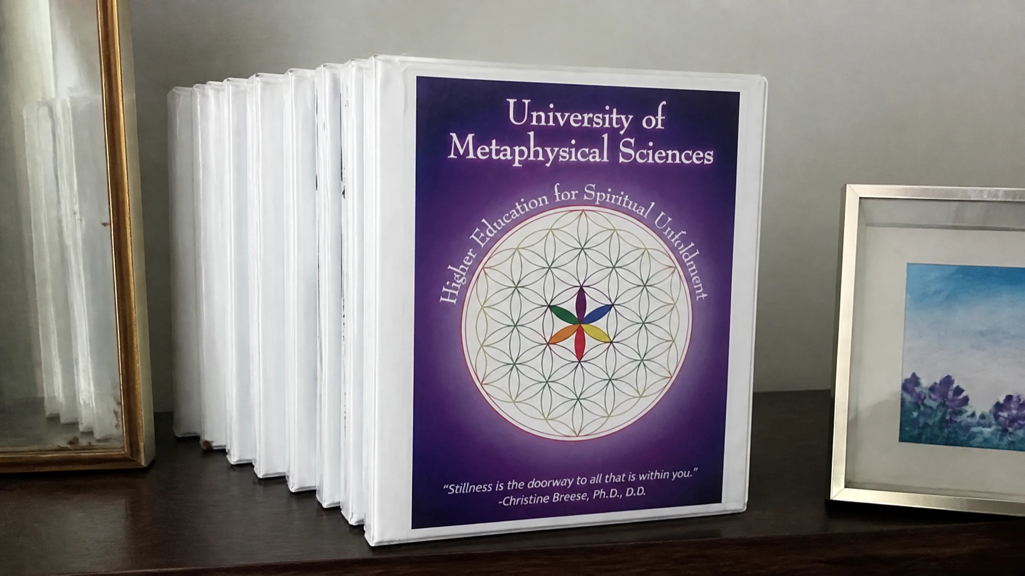 University of Metaphysical Sciences Lawsuit: IMM Non-Disparagement and Keyword Advertising Case Explained