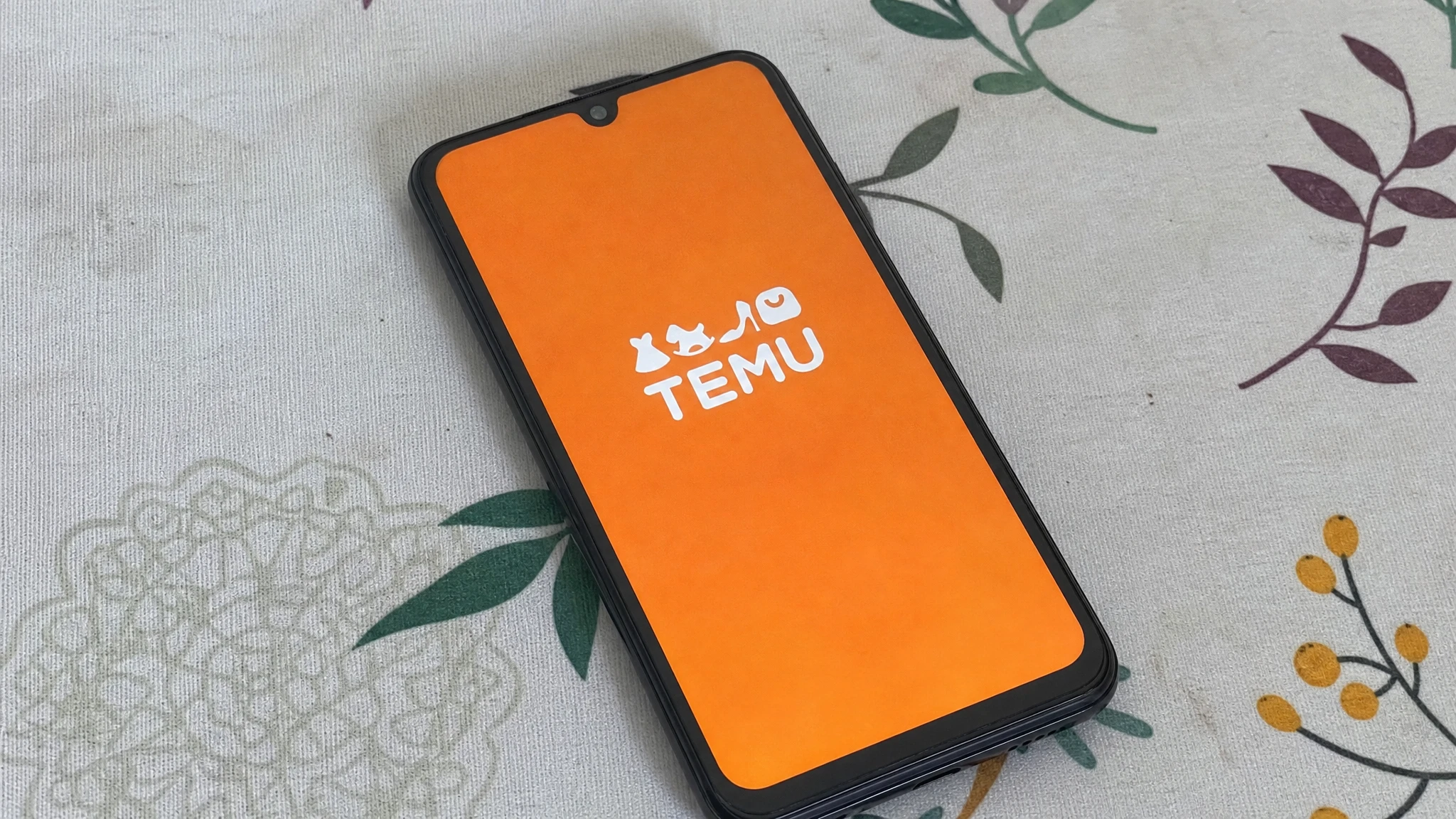 Temu Lawsuit: State Data Privacy Suits, the FTC Settlement & Class Actions